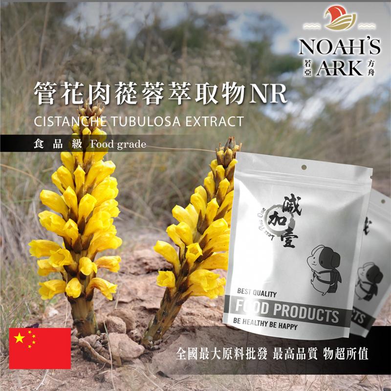 若亞方舟 管花肉蓯蓉萃取物NR 中國 10:1 粉末 保健原料 食品原料 沙漠人參