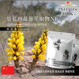 若亞方舟 管花肉蓯蓉萃取物NR 中國 10：1 粉末 保健原料 食品原料 沙漠人參