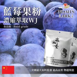 若亞方舟 藍莓果粉-濃縮萃取 WJ 中國 保健原料 食品原料